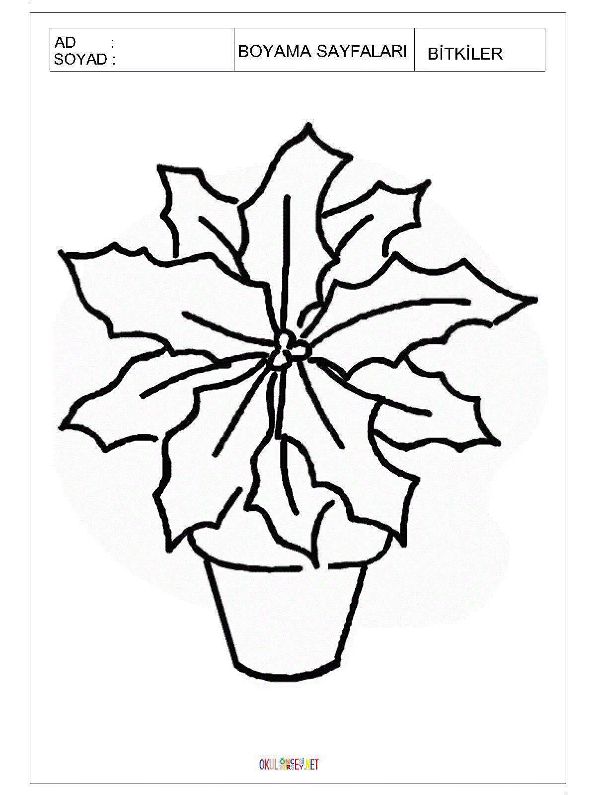 saksıda çiçek boyama sayfası