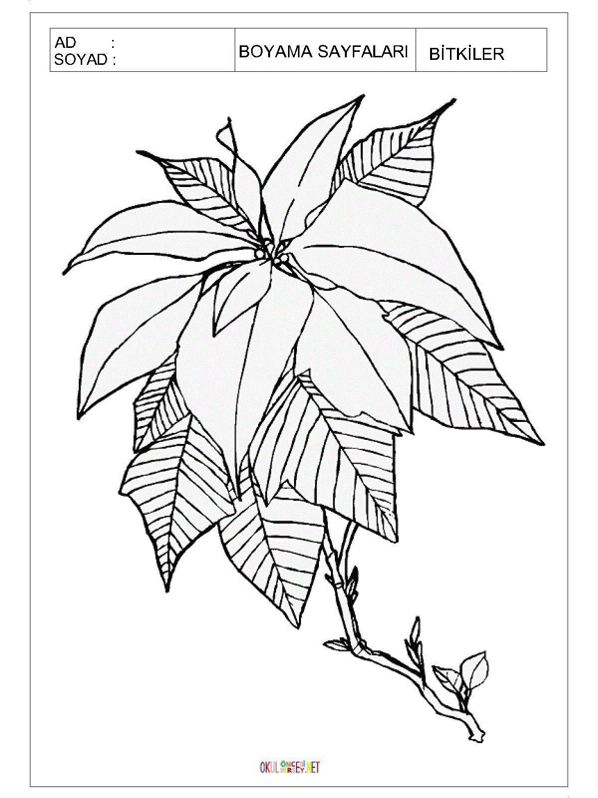 çiçekler boyama sayfaları