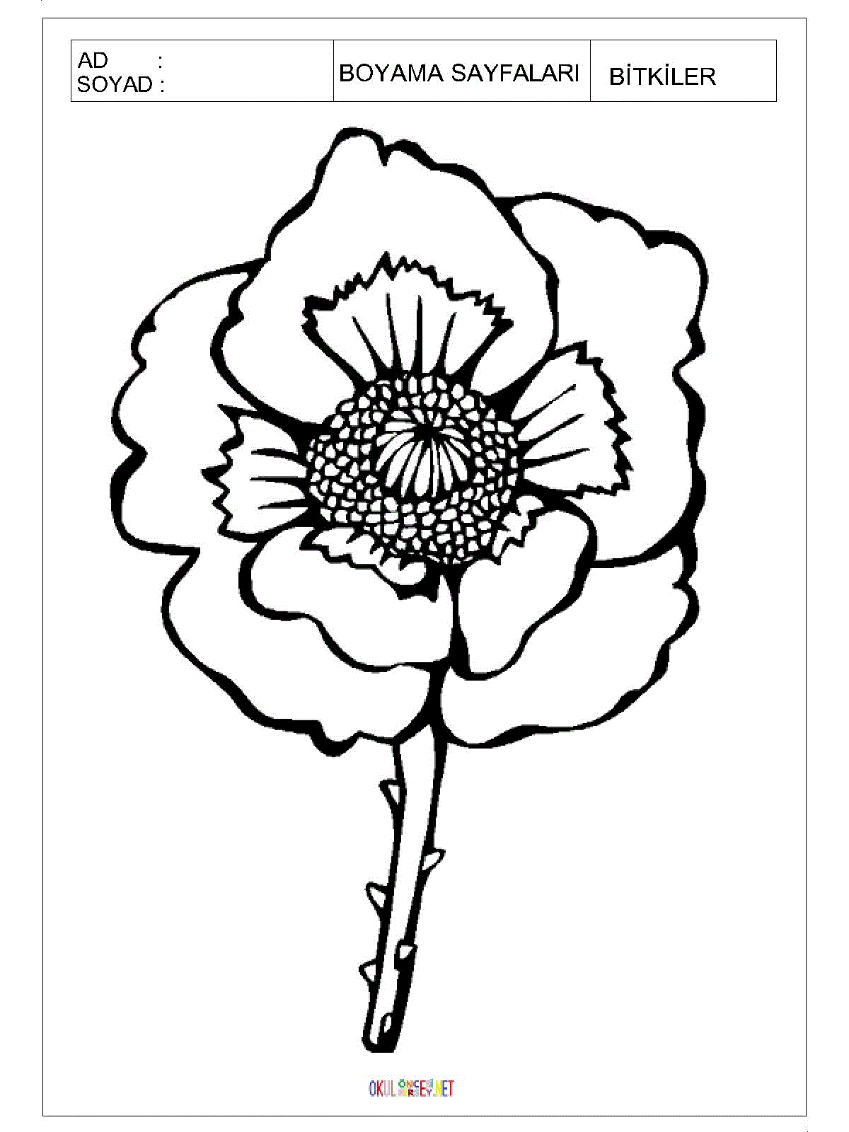 çiçek boyama sayfaları 1