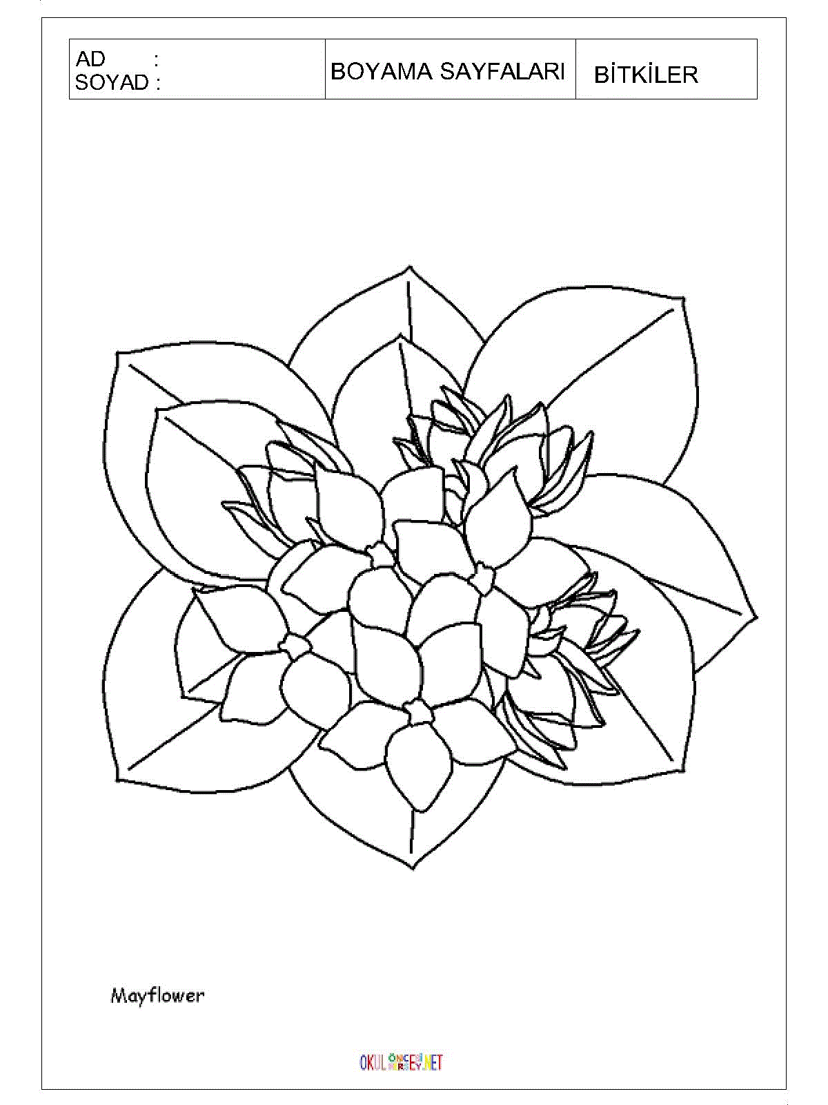 çiçek boyama sayfaları 2