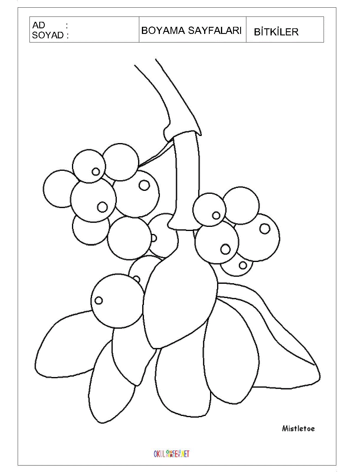 çiçek boyama sayfaları 3