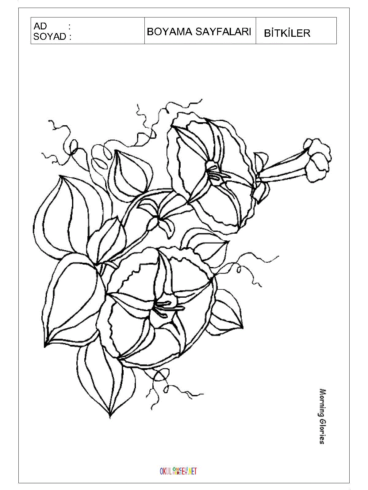 çiçek boyama sayfaları 5
