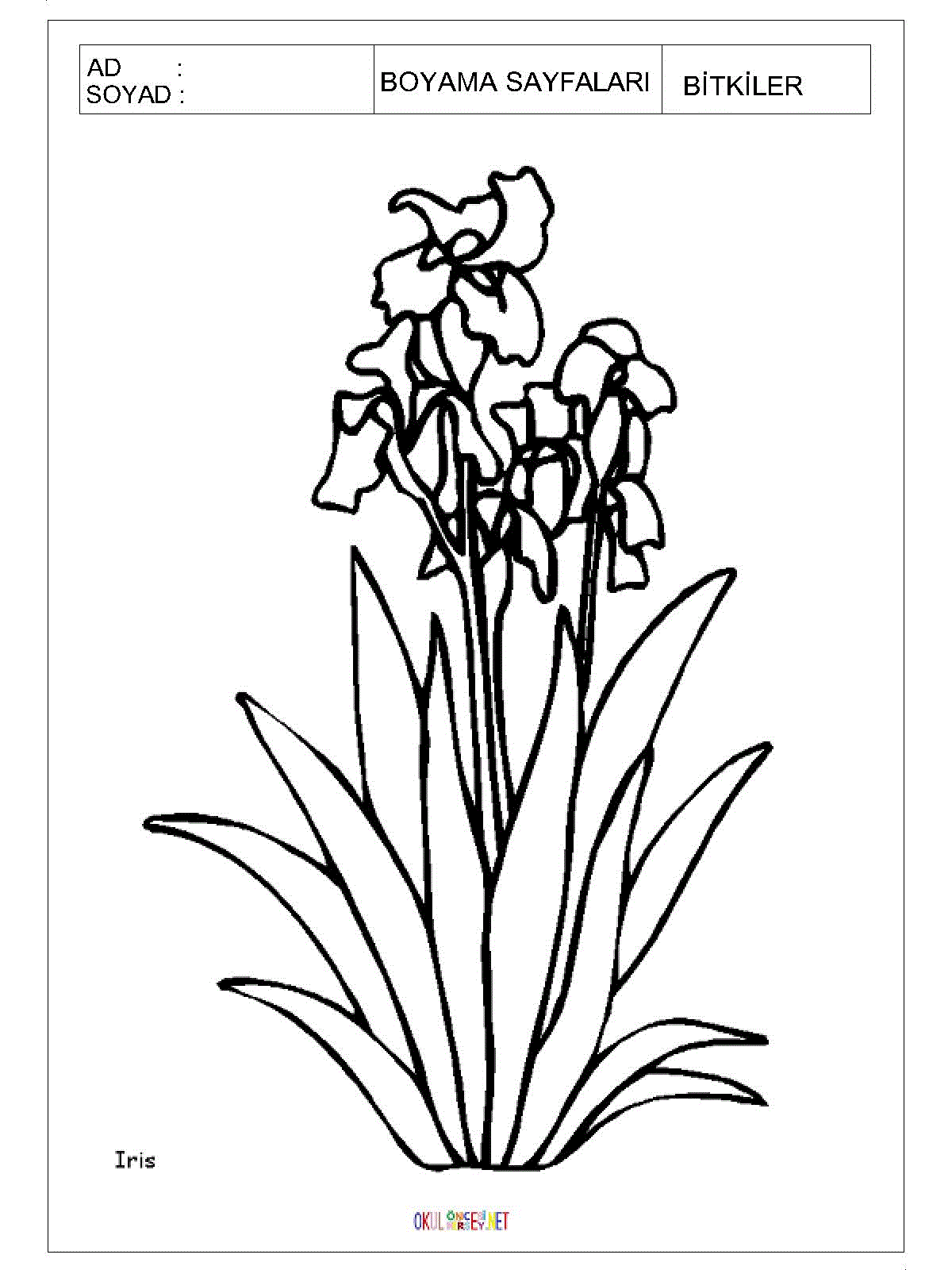 çiçek boyama sayfaları 6