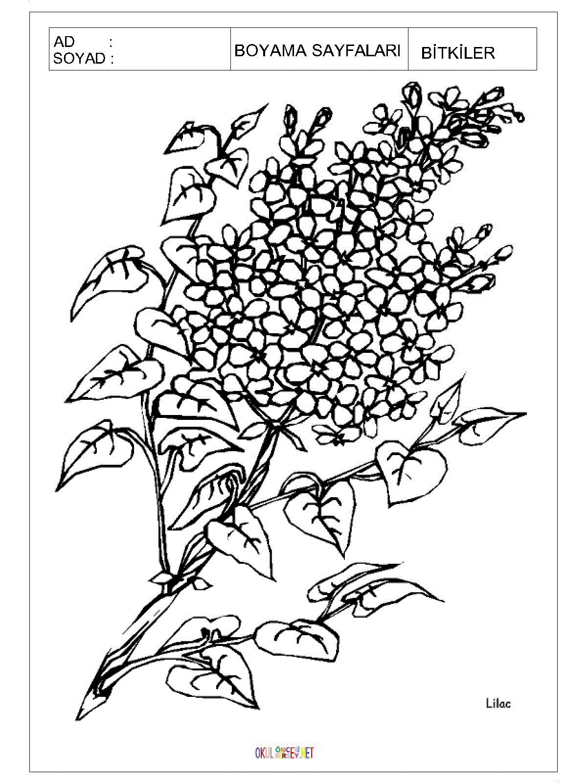 çiçek boyama sayfaları 7