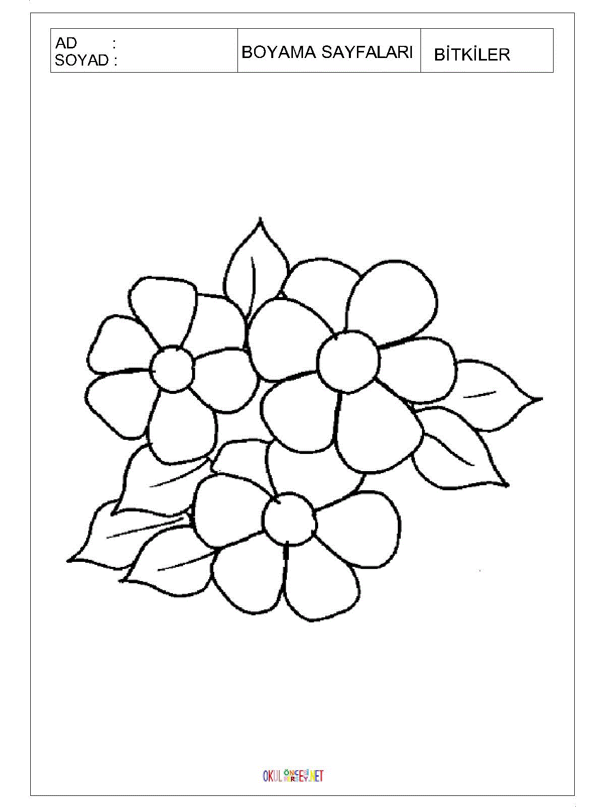 ay çiçeği boyama sayfası