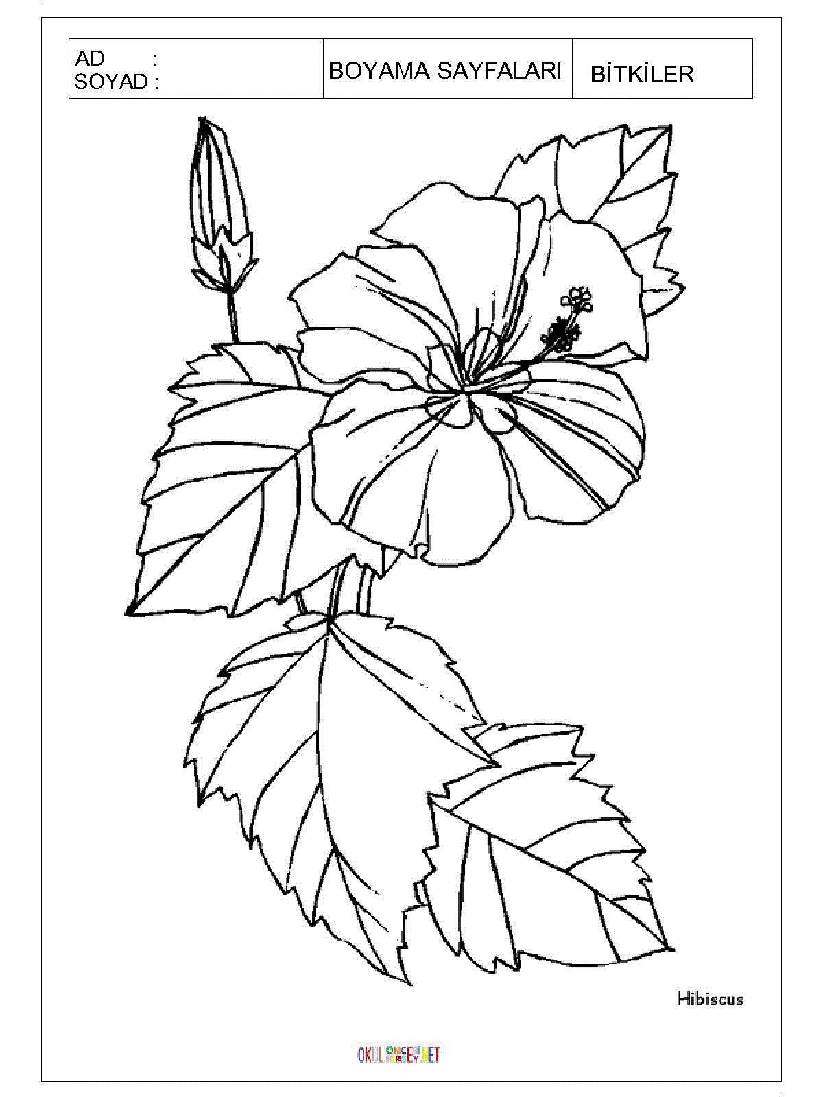 çiçek boyama sayfaları 8