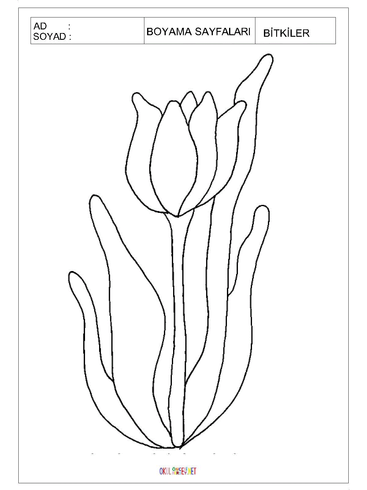 lale boyama sayfası