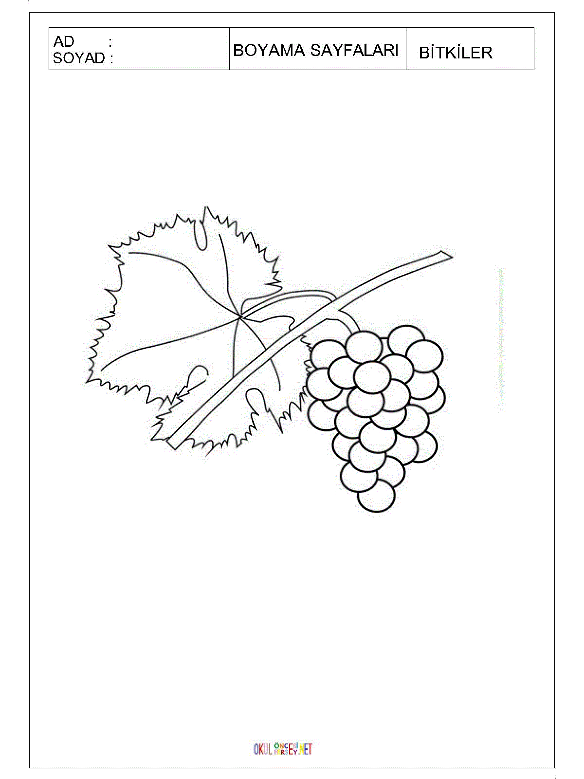 üzüm dalı boyama sayfası