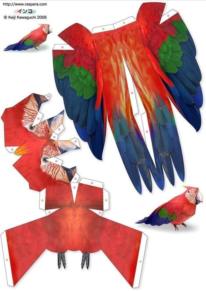 Çocuklar İçin  Hayvan Hazır Maket Şablonları  