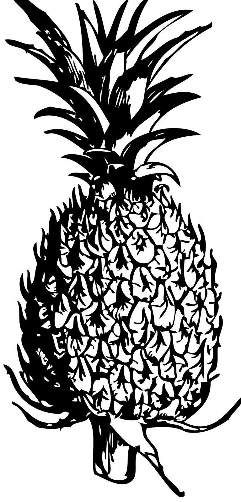 Çocuklar İçin Ananas Boyama Sayfaları 