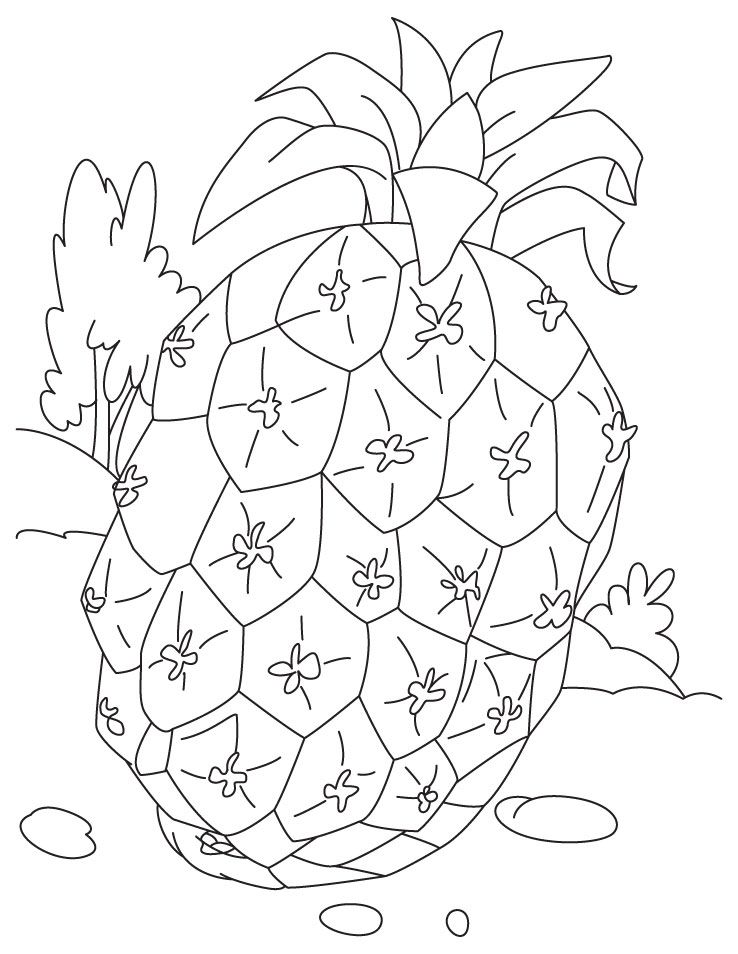 Çocuklar İçin Ananas Boyama Sayfaları 