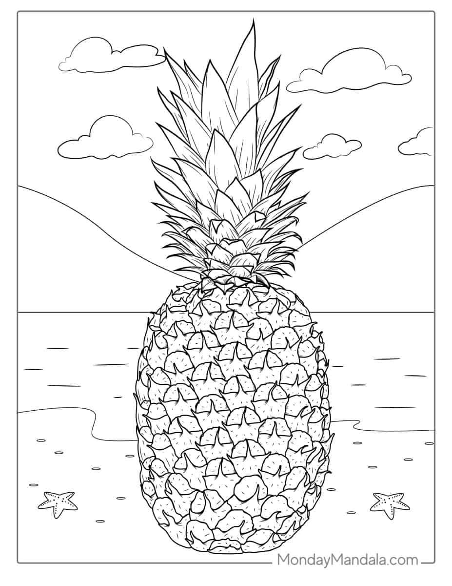 Çocuklar İçin Ananas Boyama Sayfaları 