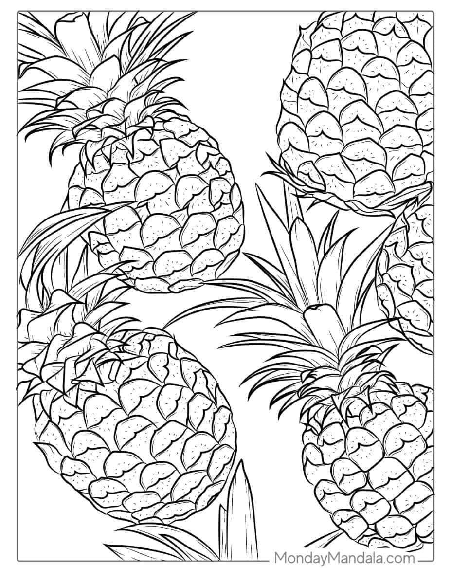 Çocuklar İçin Ananas Boyama Sayfaları 