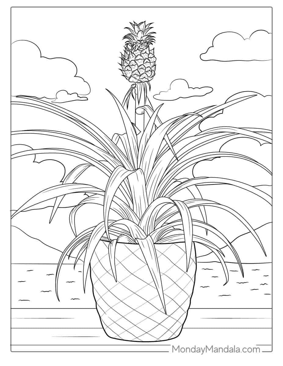 Çocuklar İçin Ananas Boyama Sayfaları 