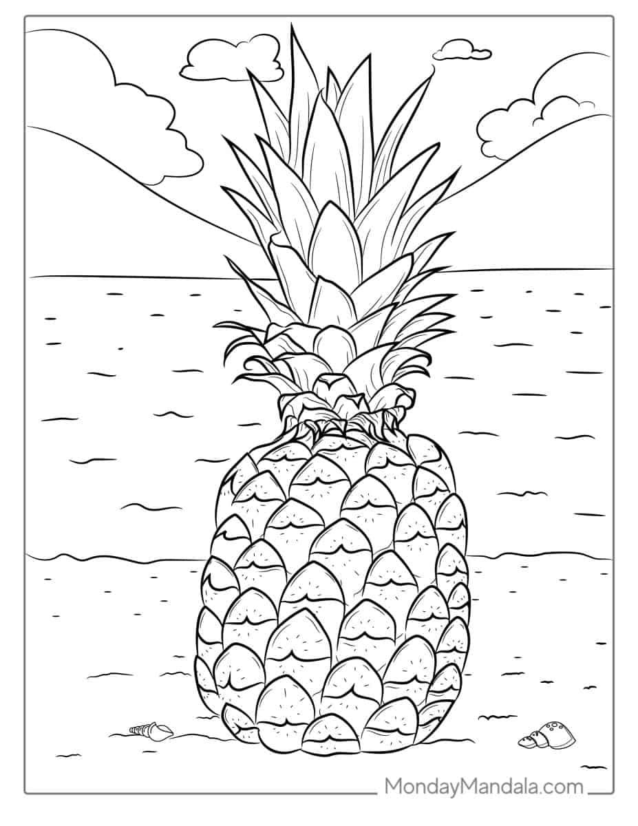 Çocuklar İçin Ananas Boyama Sayfaları 