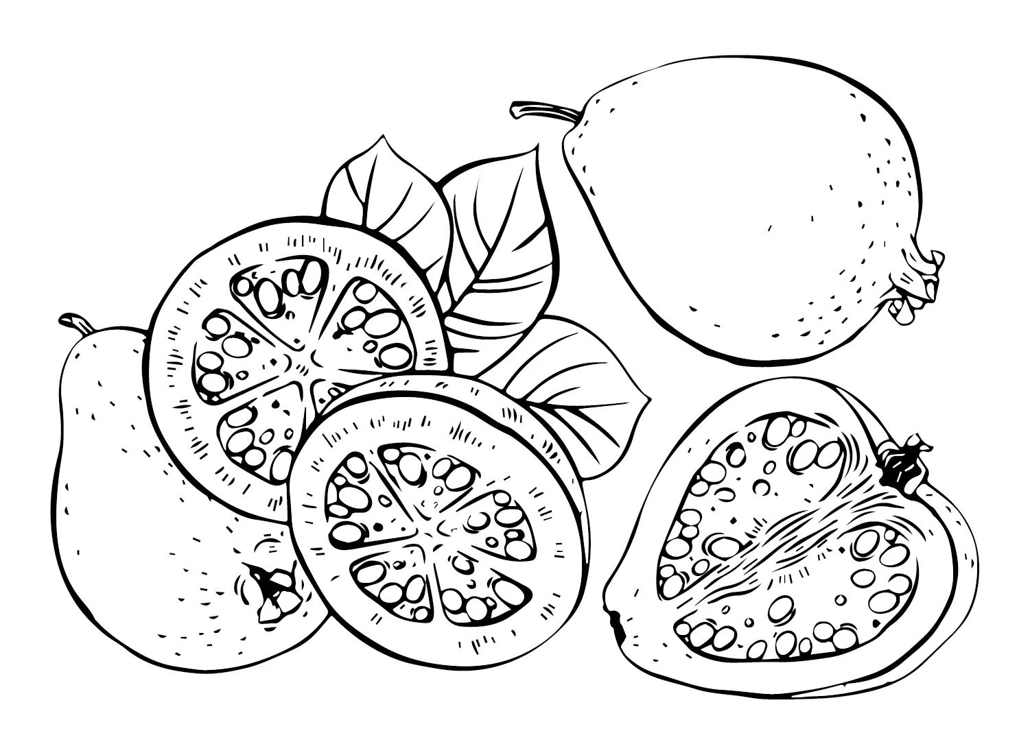 Çocuklar İçin Guava Boyama Sayfaları 