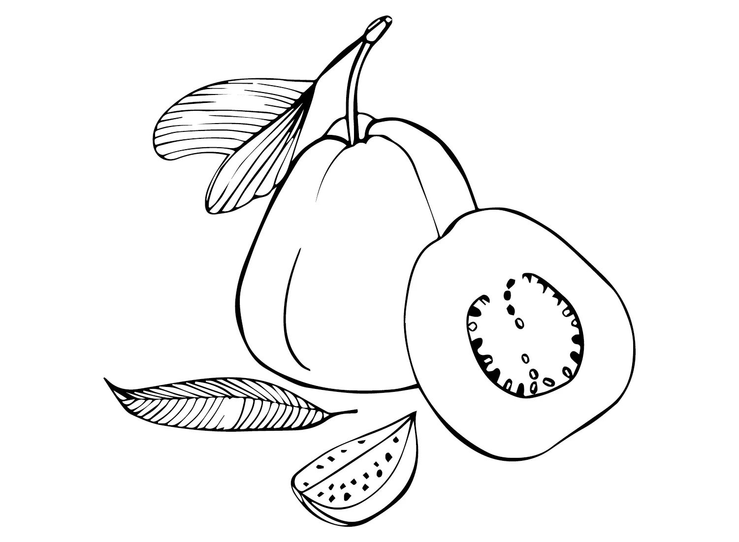 Çocuklar İçin Guava Boyama Sayfaları 