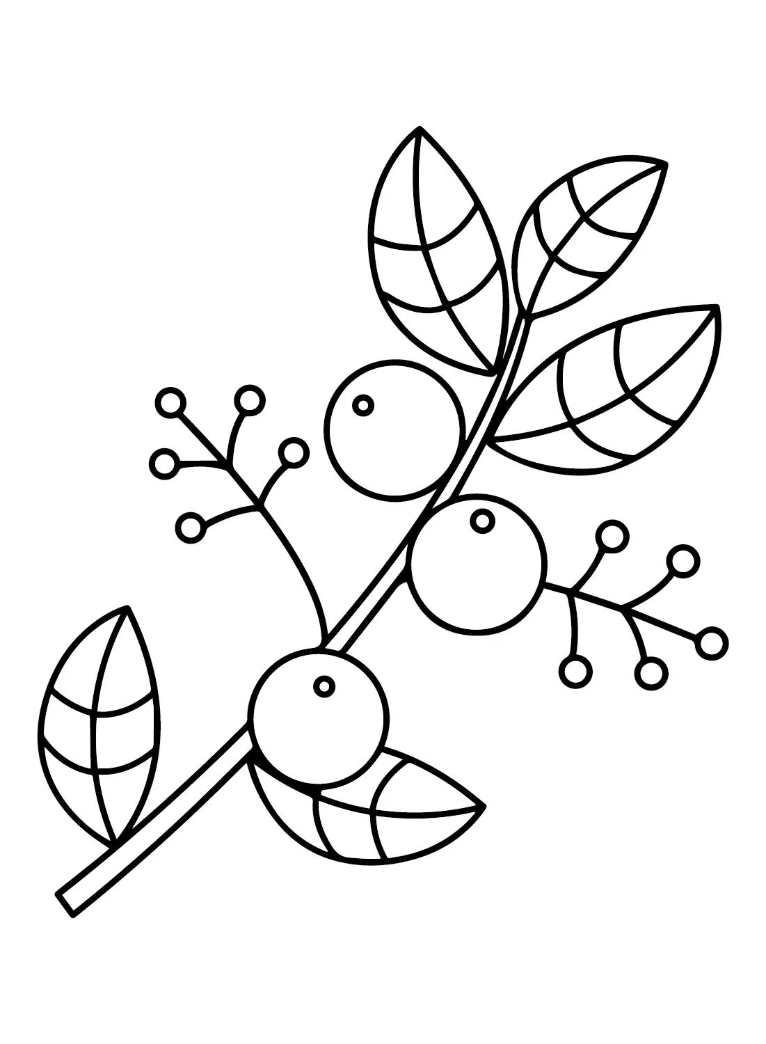 Çocuklar İçin Huckleberry Boyama Sayfaları 