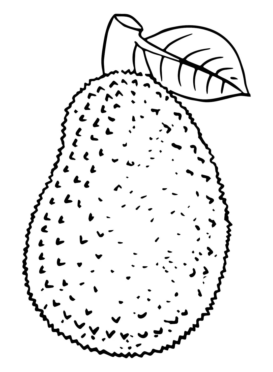 Çocuklar İçin Jackfruit Boyama Sayfaları 