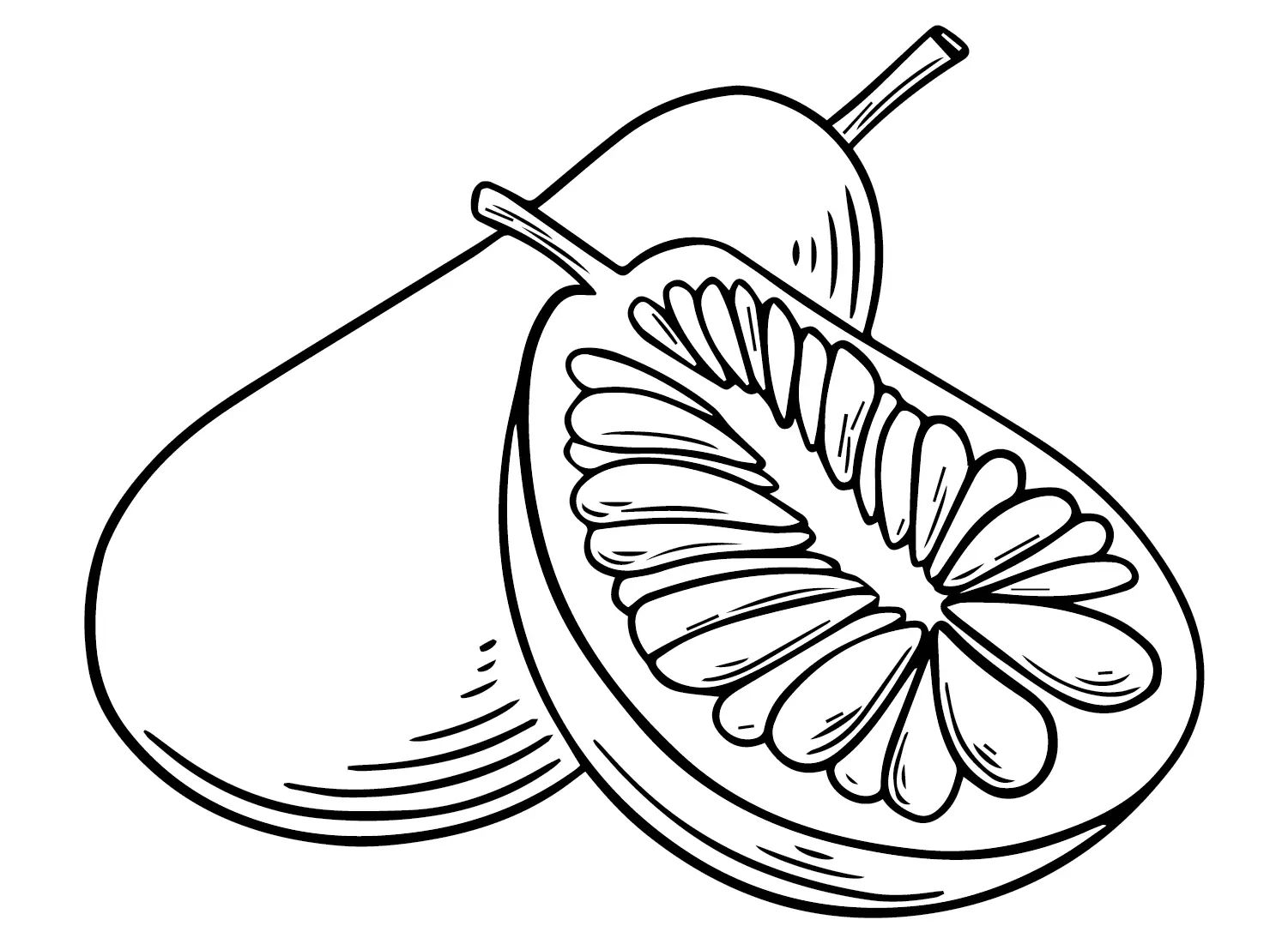 Çocuklar İçin Jackfruit Boyama Sayfaları 