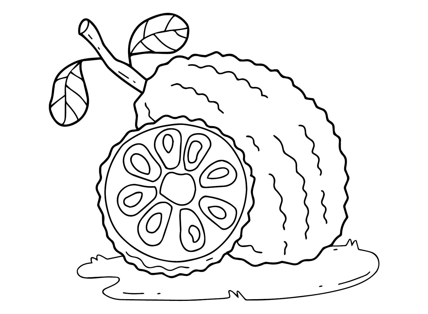 Çocuklar İçin Jackfruit Boyama Sayfaları 