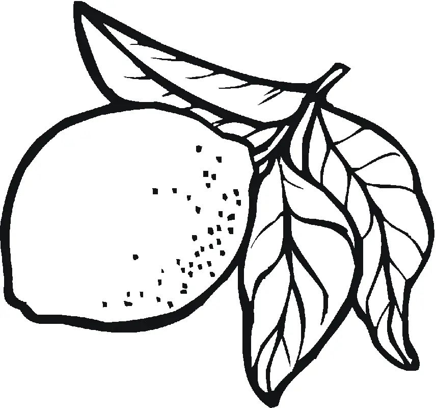 Çocuklar İçin Limon Boyama Sayfaları 
