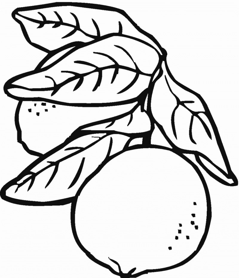 Çocuklar İçin Limon Boyama Sayfaları 