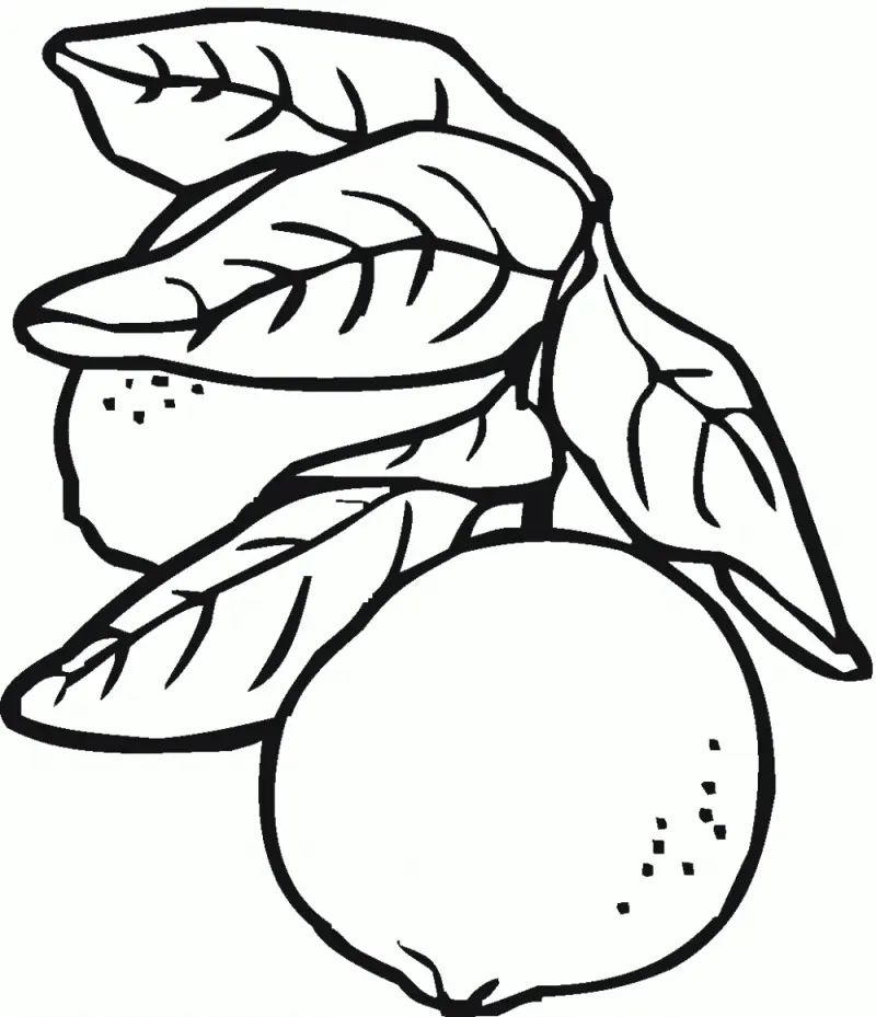 Çocuklar İçin Limon Boyama Sayfaları 