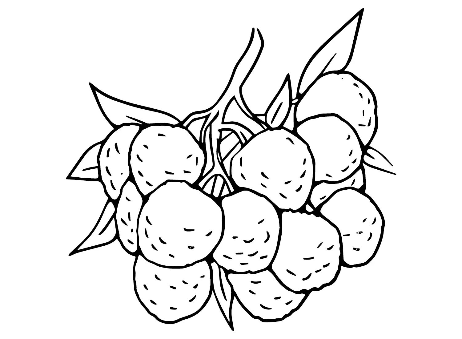 Çocuklar İçin Lychee Boyama Sayfaları 