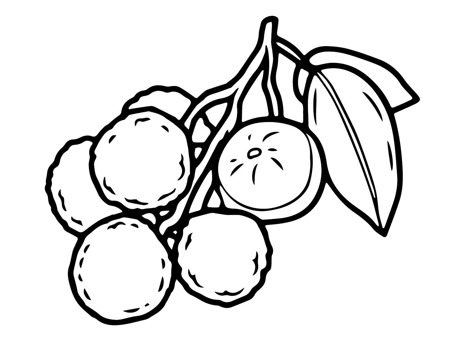 Çocuklar İçin Lychee Boyama Sayfaları 