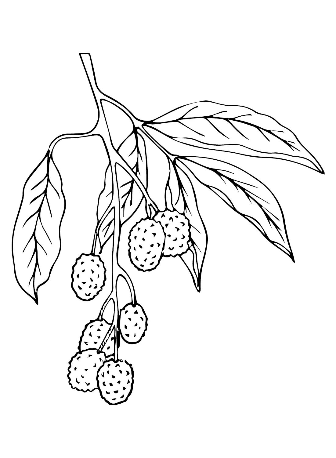 Çocuklar İçin Lychee Boyama Sayfaları 