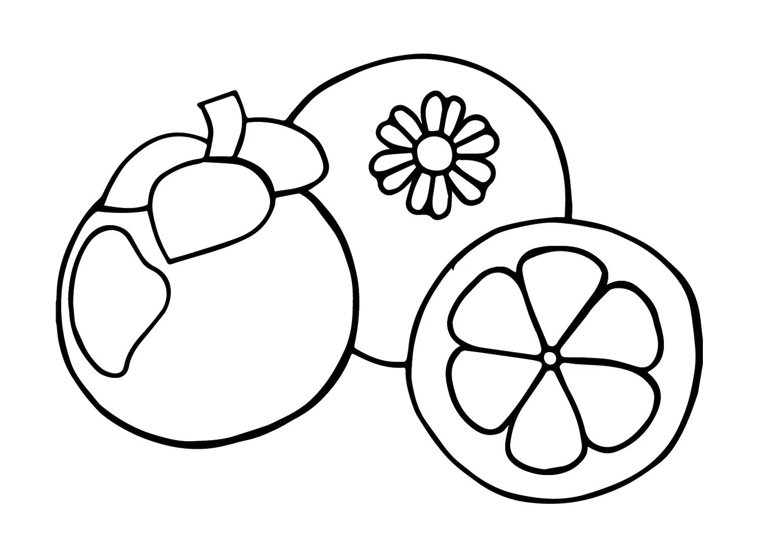 Çocuklar İçin Mangosteen Boyama Sayfaları 