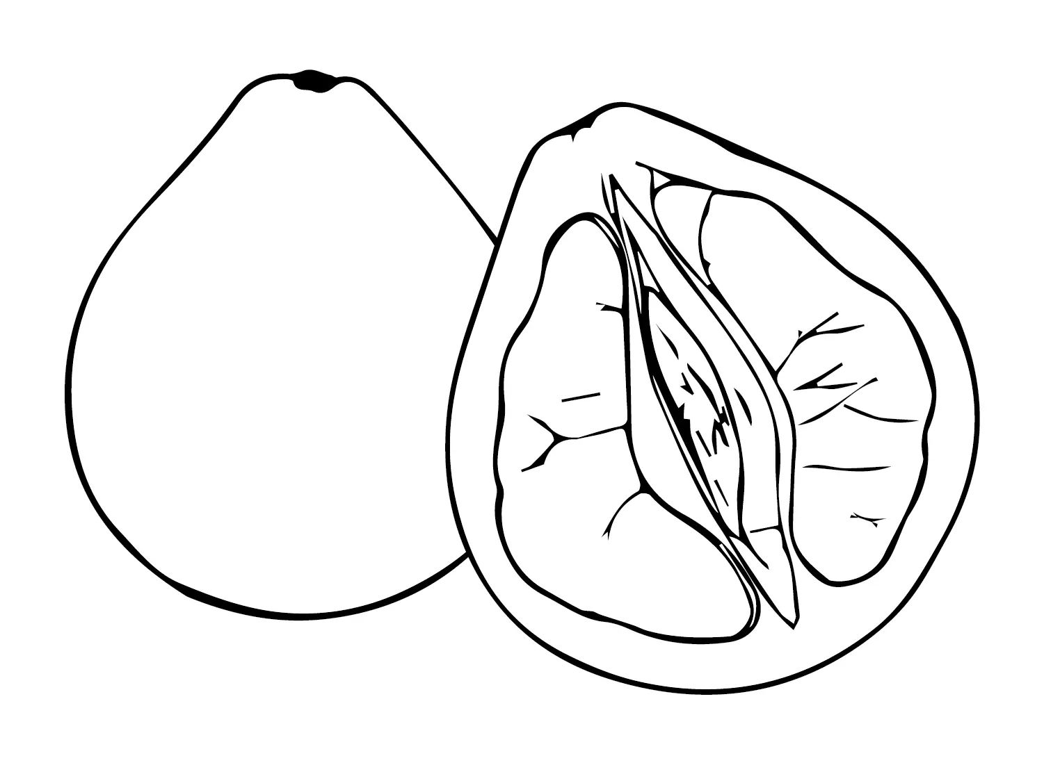Çocuklar İçin Pomelo Boyama Sayfaları 