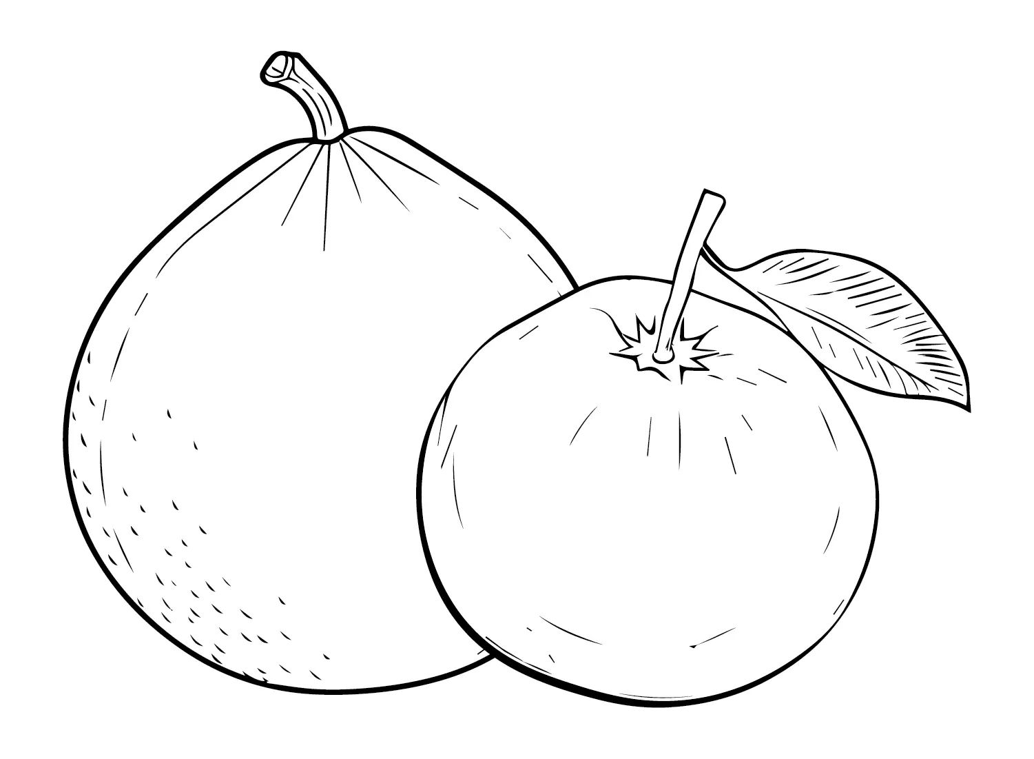 Çocuklar İçin Pomelo Boyama Sayfaları 