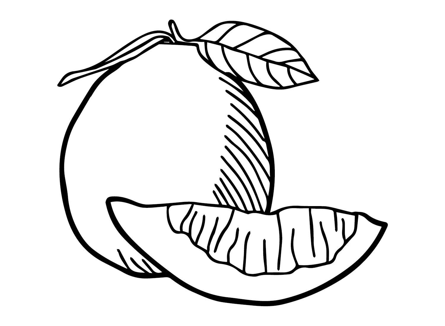 Çocuklar İçin Pomelo Boyama Sayfaları 