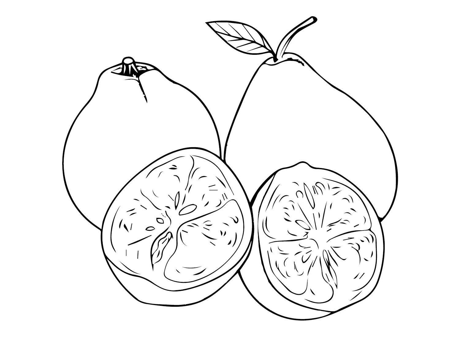 Çocuklar İçin Pomelo Boyama Sayfaları 