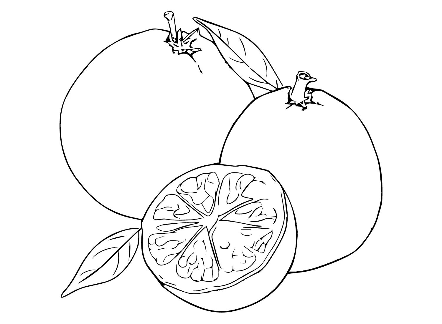 Çocuklar İçin Pomelo Boyama Sayfaları 