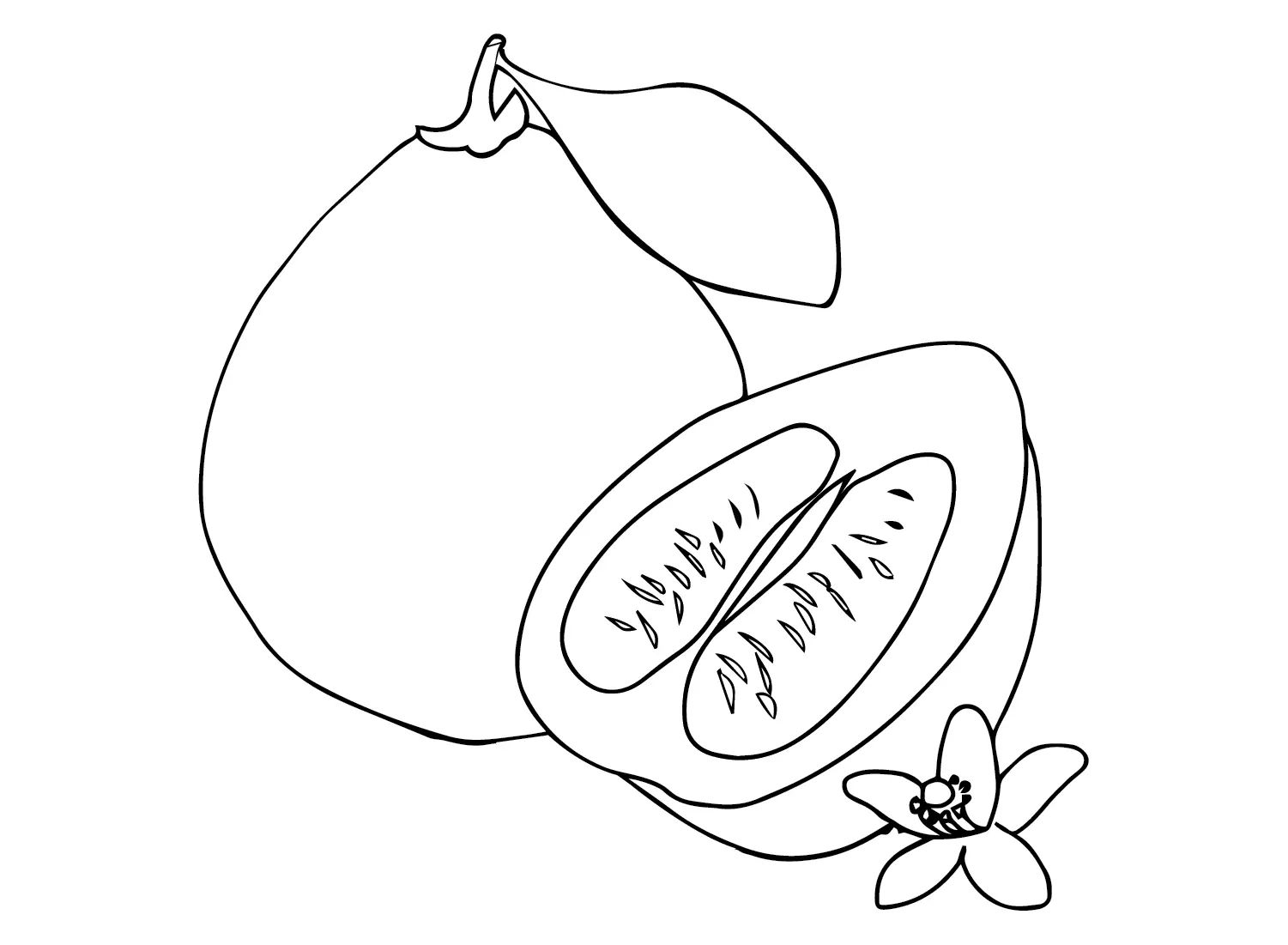 Çocuklar İçin Pomelo Boyama Sayfaları 
