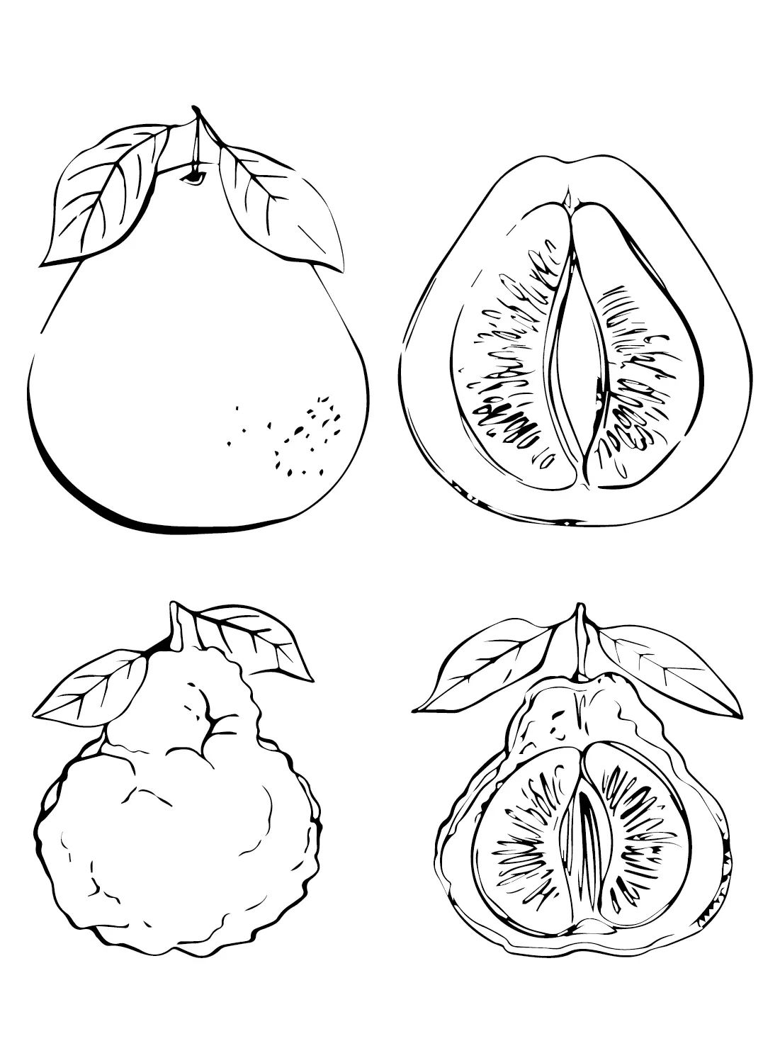 Çocuklar İçin Pomelo Boyama Sayfaları 