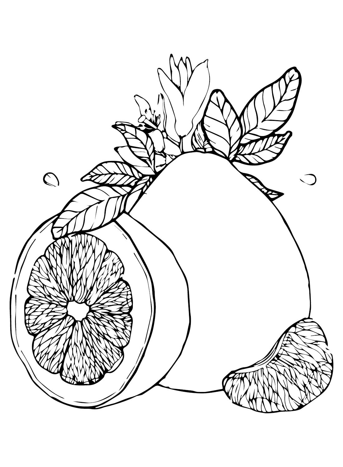 Çocuklar İçin Pomelo Boyama Sayfaları 