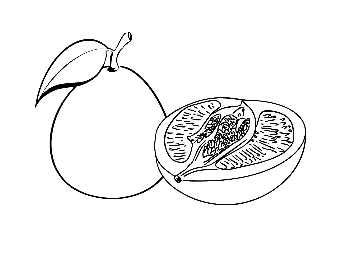 Çocuklar İçin Pomelo Boyama Sayfaları 