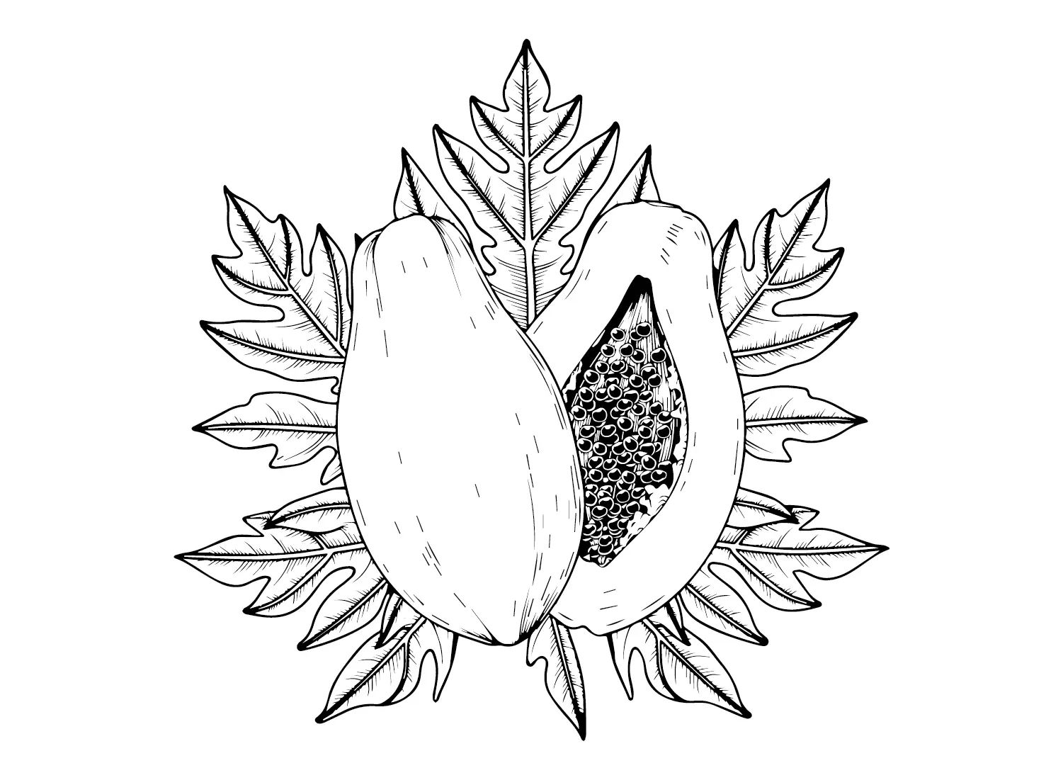 Çocuklar İçin Papaya Boyama Sayfaları 