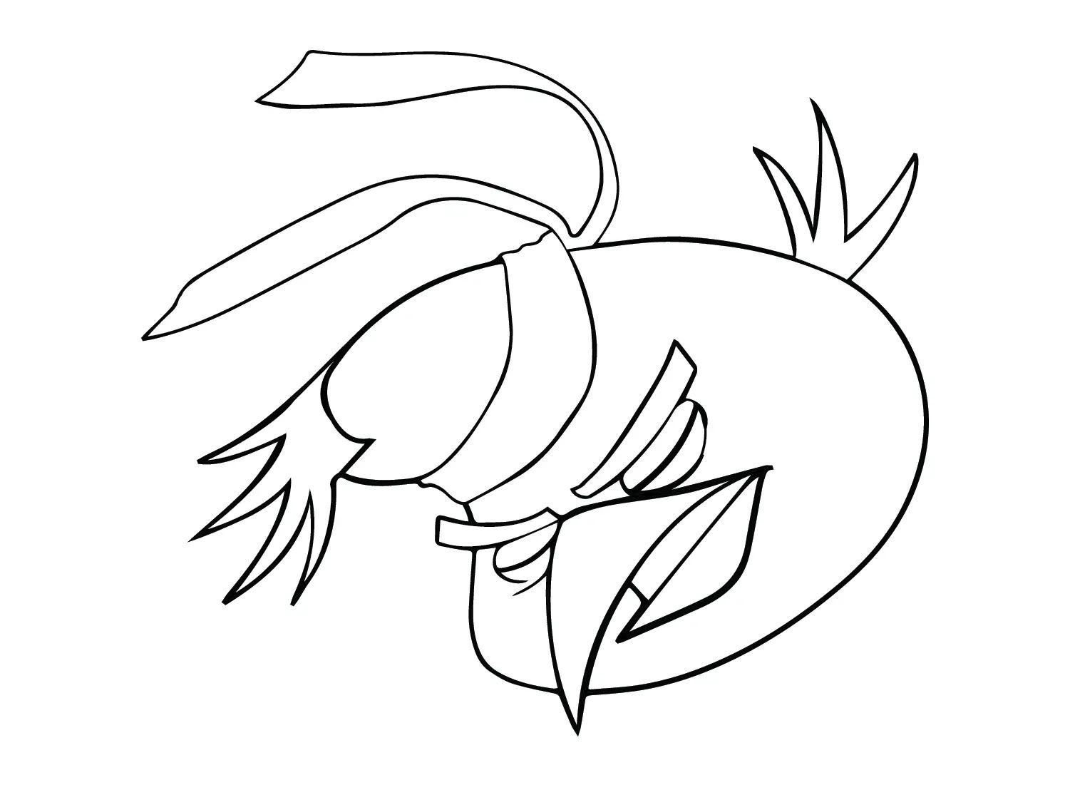Çocuklar İçin Chuck Angry Bird Boyama Sayfaları 