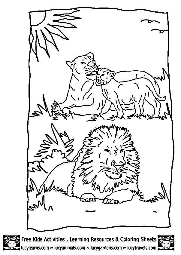 Çocuklar İçin Aslan Boyama Sayfaları 
