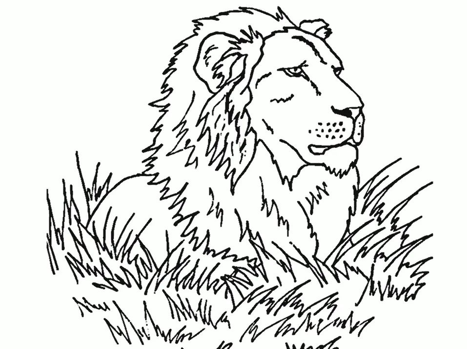 Çocuklar İçin Aslan Boyama Sayfaları 