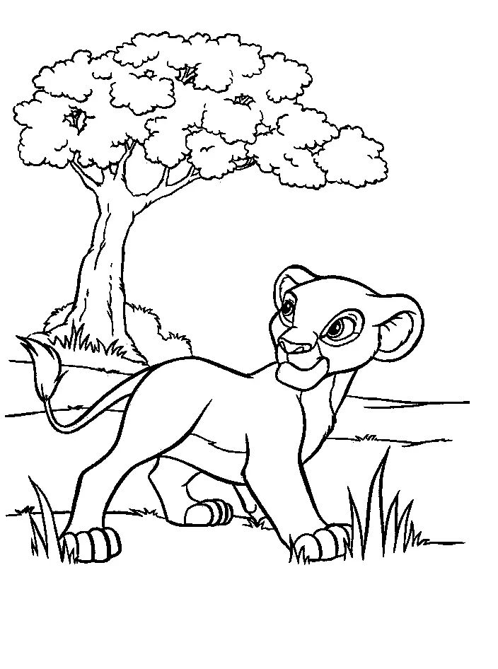 Çocuklar İçin Aslan Boyama Sayfaları 