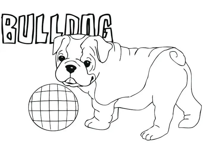 Çocuklar İçin Bulldog Boyama Sayfaları 