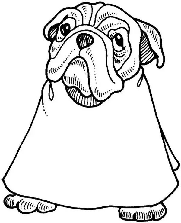 Çocuklar İçin Bulldog Boyama Sayfaları 