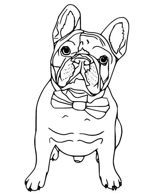 Çocuklar İçin Bulldog Boyama Sayfaları 