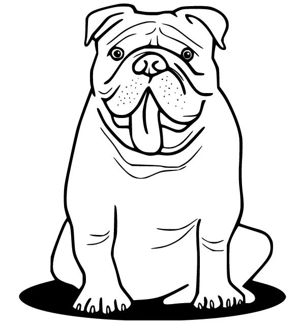 Çocuklar İçin Bulldog Boyama Sayfaları 